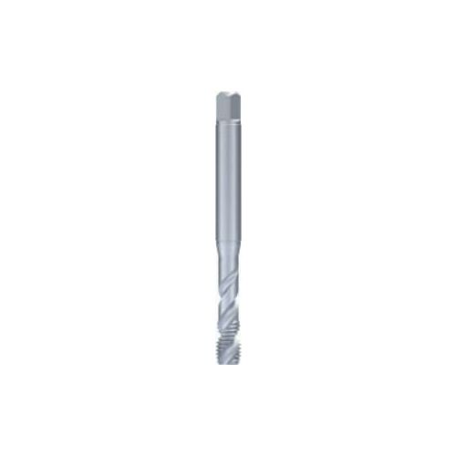 Fanar  M6 (C2-521701-0060) | C2-521701-0060 |