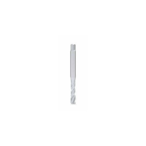 Fanar  M8 (C2-511101-0080) | C2-511101-0080 |