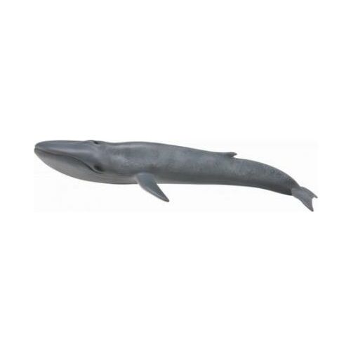 Collecta BLUE WHALE | 004-88834 |