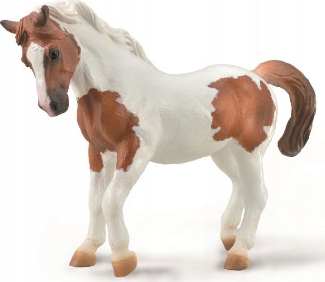 Collecta COLLECTA CHINCOTEAGUE PONY  KAANOWATEJ PINTO