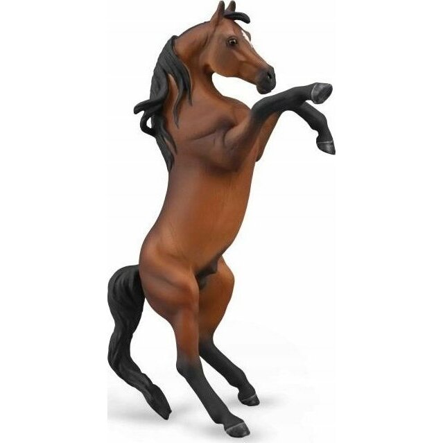 Collecta COLLECTA ARABSKI BAY | 004-88993