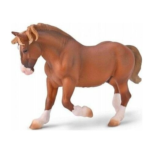 Collecta COLLECTA  BRETOŃSKI  KAANOWEJ | 004-80008