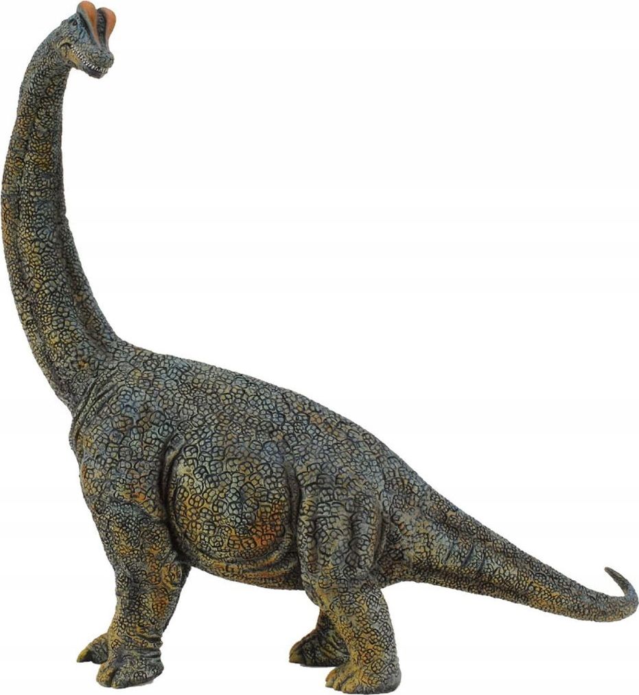 Collecta BRACHIOZAUR - CollectA - 88405