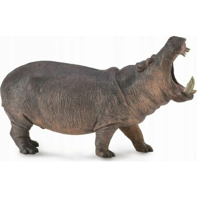 Collecta HIPOPOTAM - Hippopotamus - CollectA