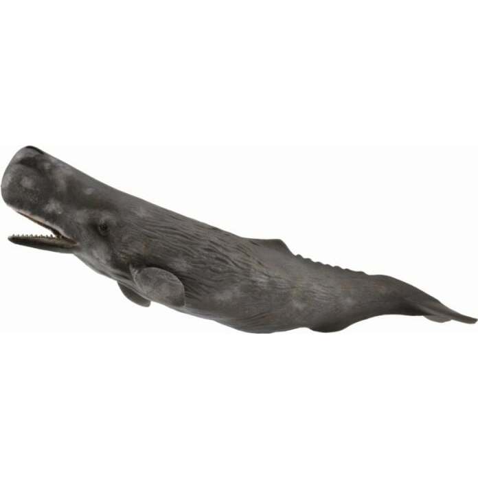 Collecta WHALE | 004-88835 | 4892900888354
