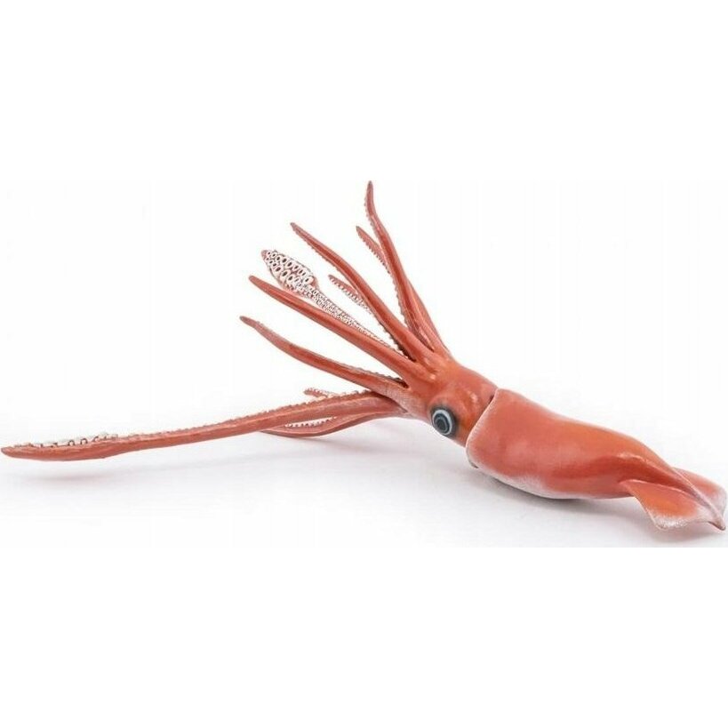 Hasbro Kałamarnica a | 582512/13956856 |