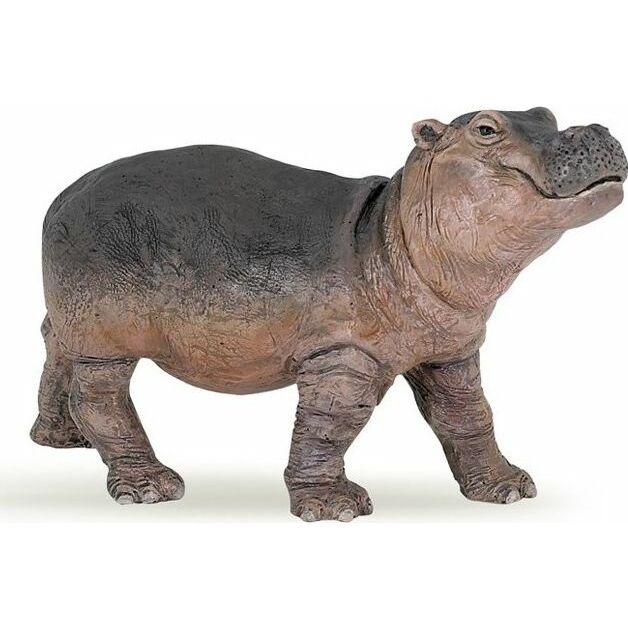 Papo Hipopotam młody | 427421 |