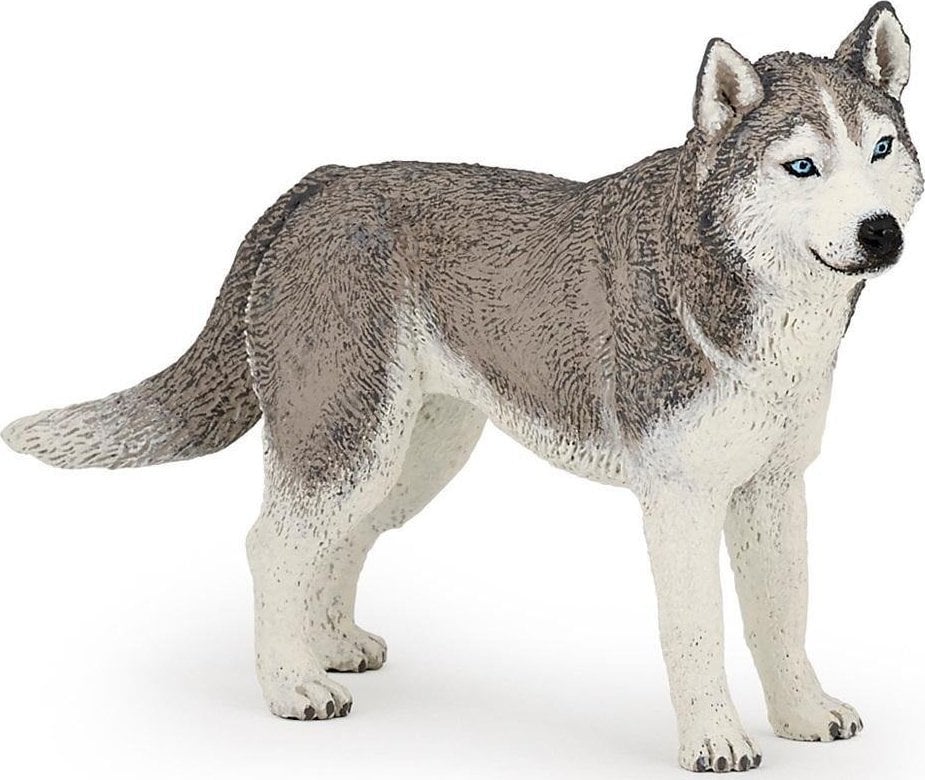 Papo Husky | 401185 | 3465000540357