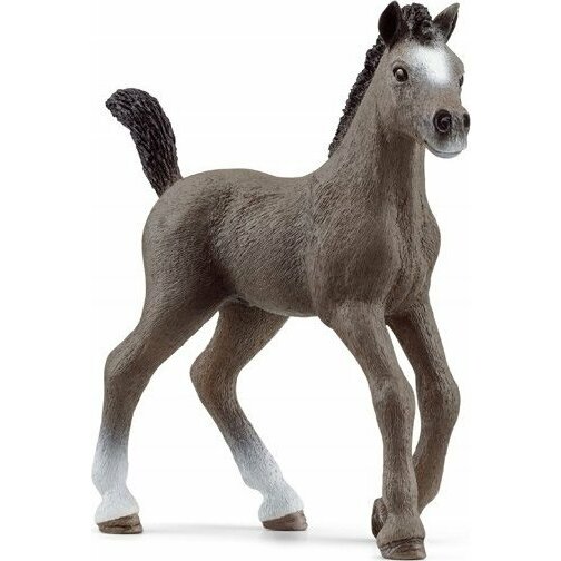 Schleich Źrebak Selle Francais | GXP-855803