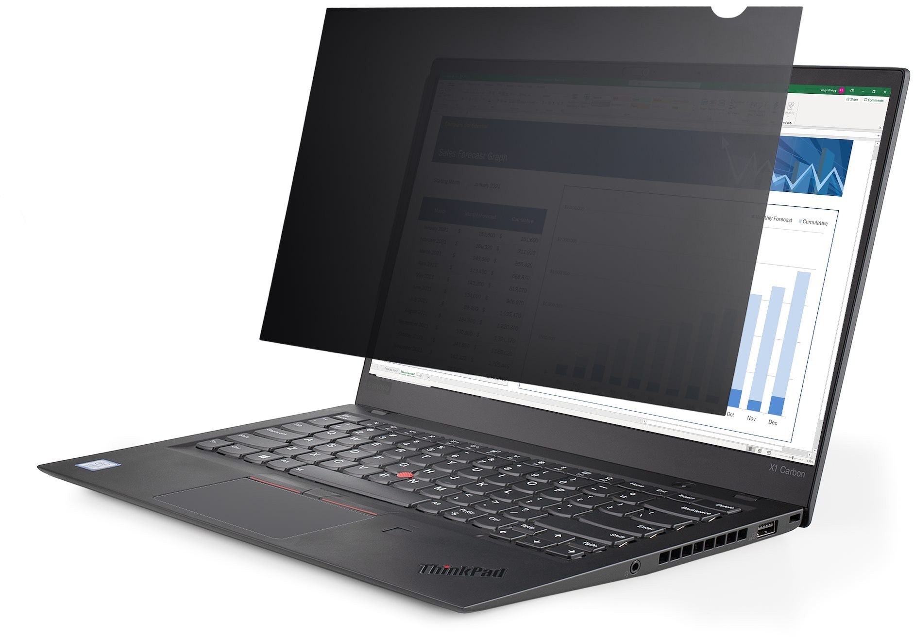 Filtr StarTech StarTech.com 17.3-inch