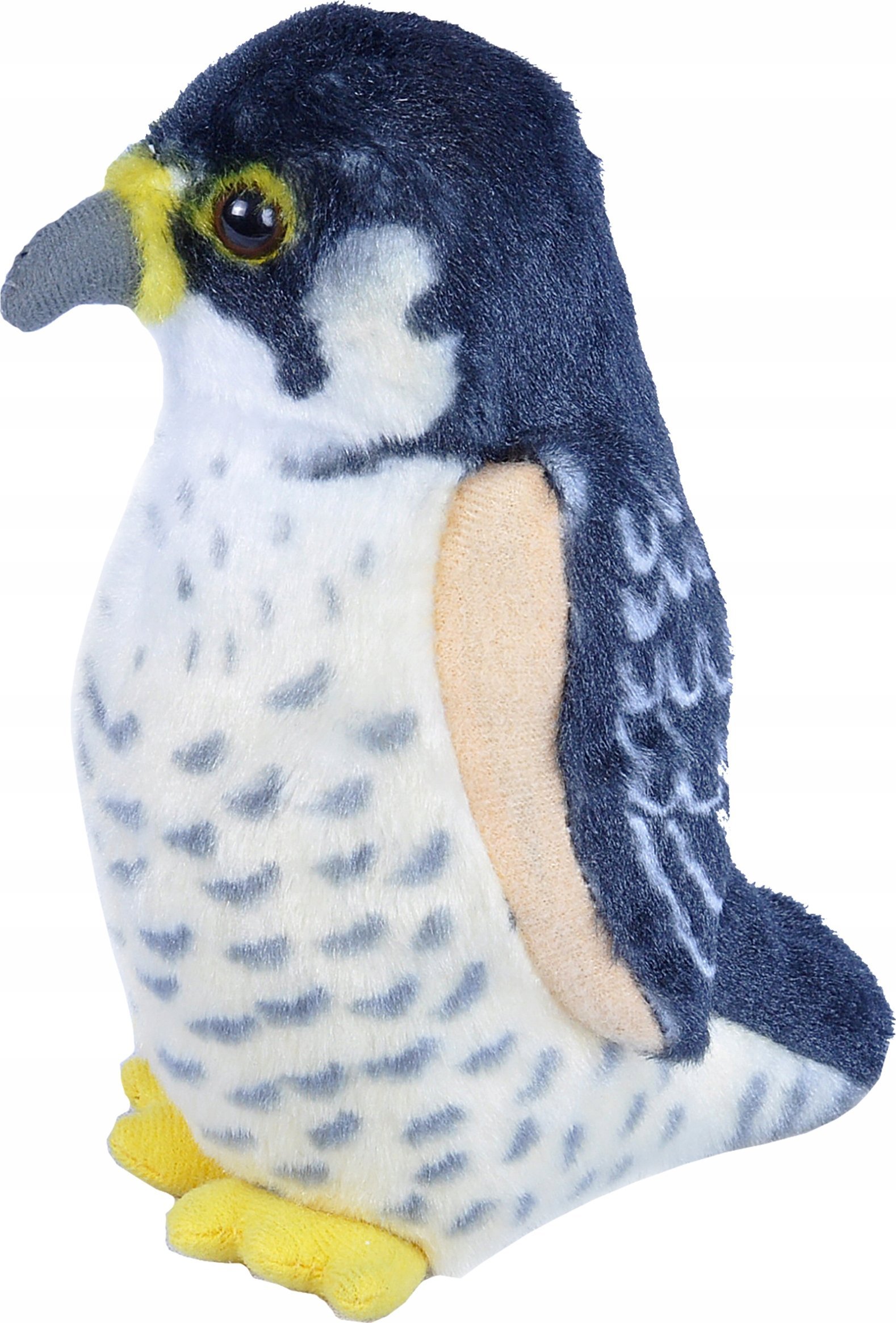 Fremeaux Wild Republic Birds with Sound