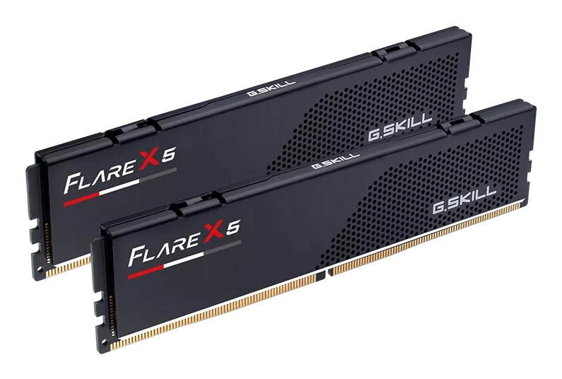 G.Skill Flare X5 F5-5200J4040A48GX2-FX5 memory