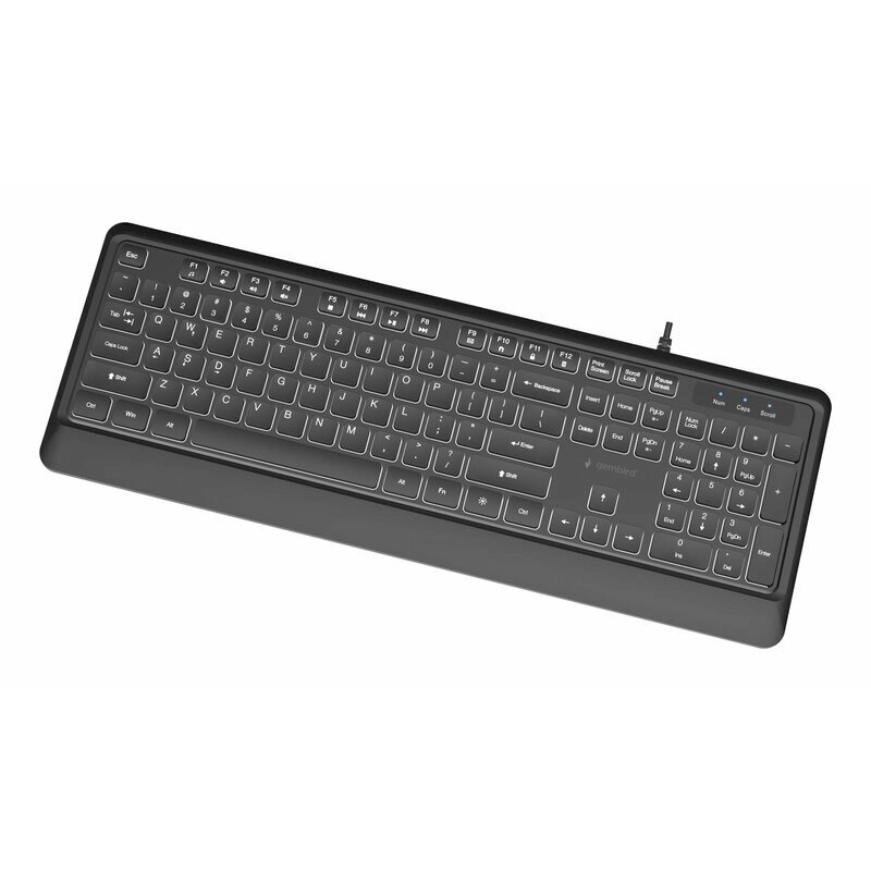 Gembird KB-UML-04 Slim Tastatūraapgaismojumu USB-A+C /