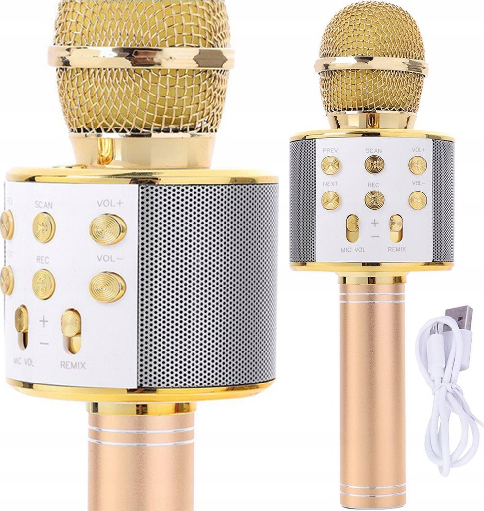 Gotel Q17D Karaoke z 2 |