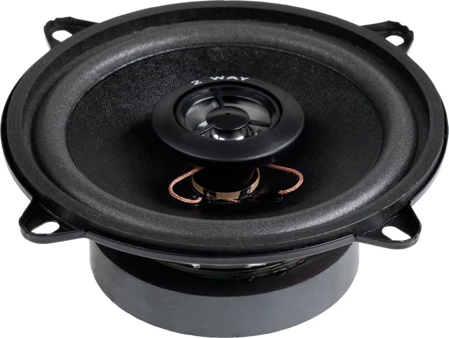 Dibeisi  sam.5"/2WAY/100W WS-1312TW |