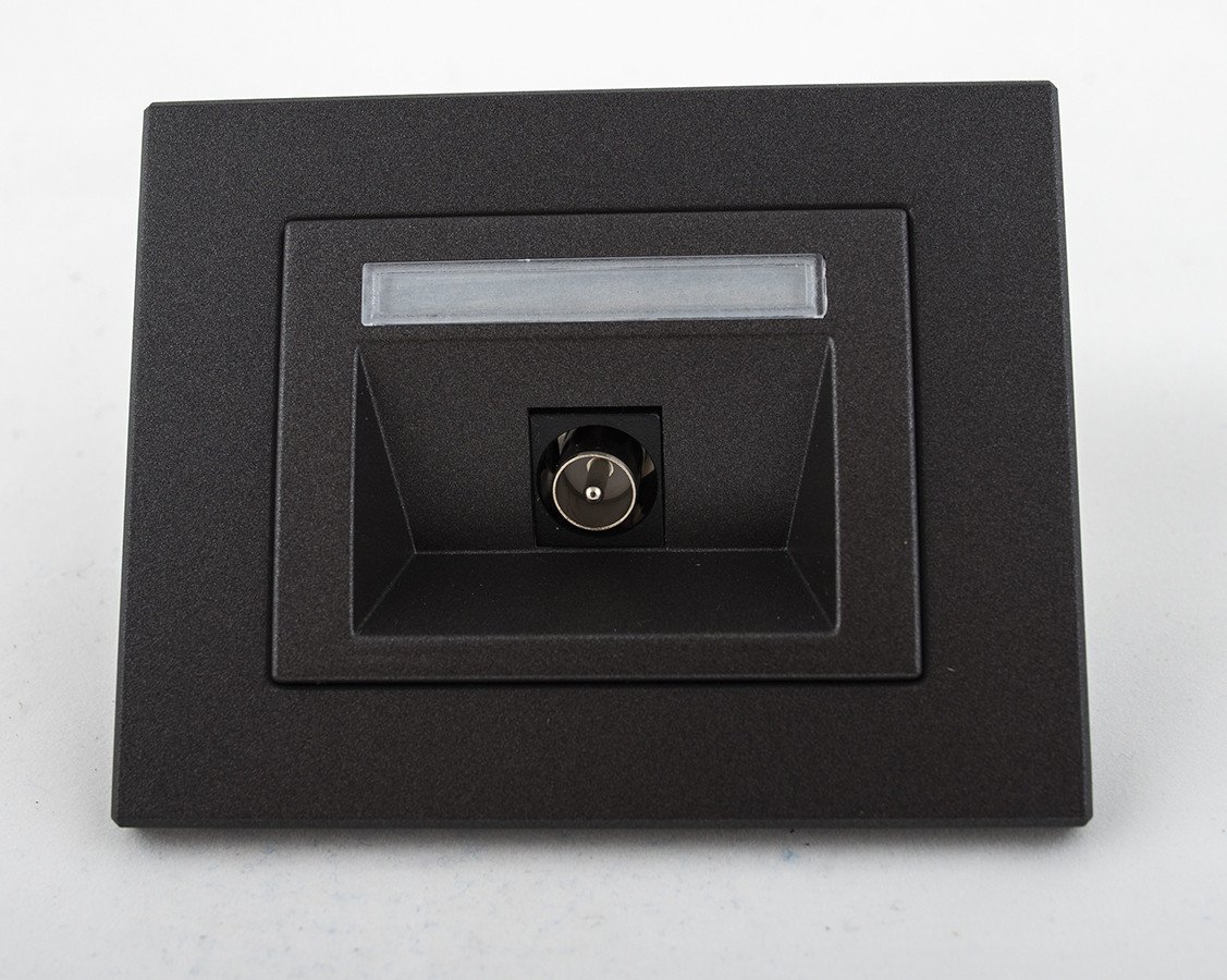 Harry Potter TV SOCKET FLUSH ANT