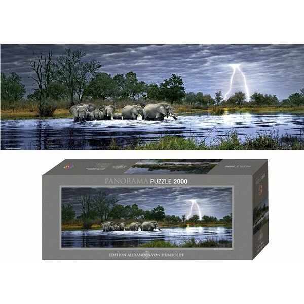 Heye Herd of Elephants E.Humboldt
