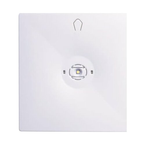 Intelight Oczko awaryjne N/T Starlet QUAD