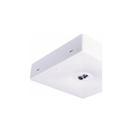 Intelight O awaryjna natynkowa STARLET QUAD