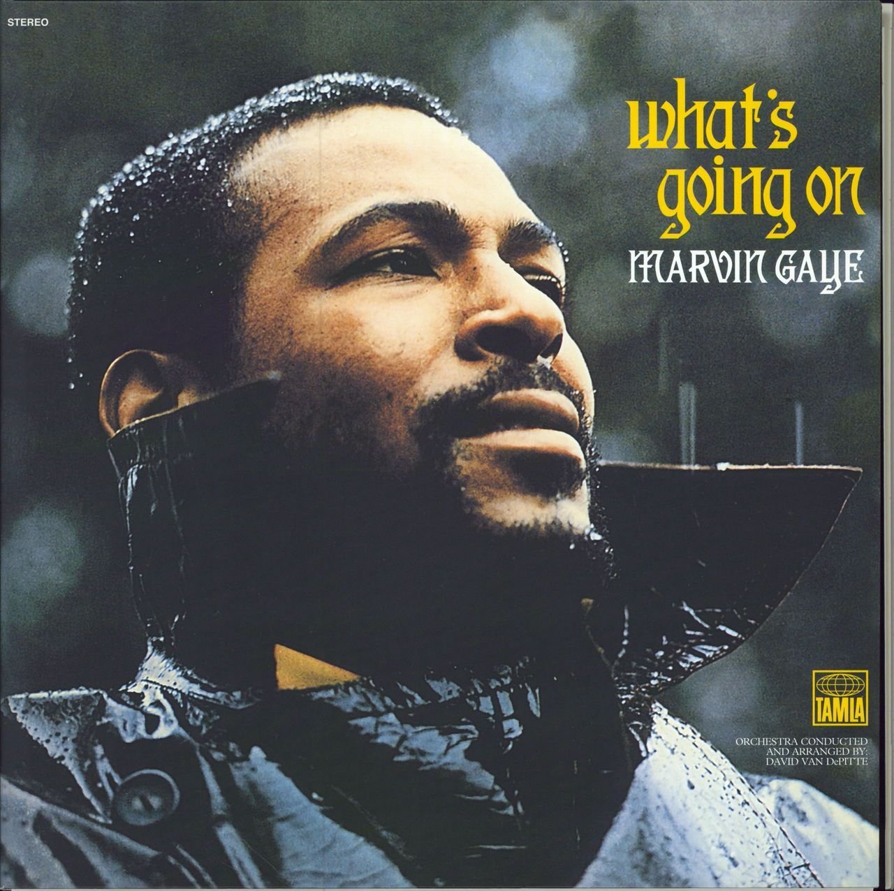 Island Records Marvin Gaye ‎- What`s