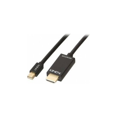 Kabel Lindy DisplayPort Mini - HDMI