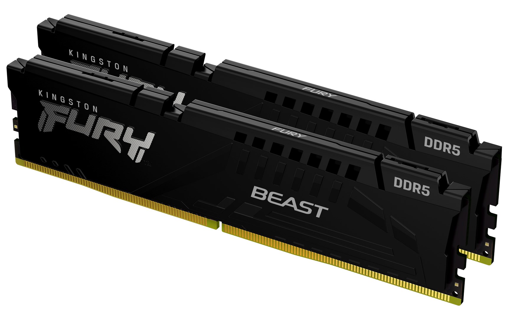 Pamięć Kingston Beast, DDR5, 64 GB