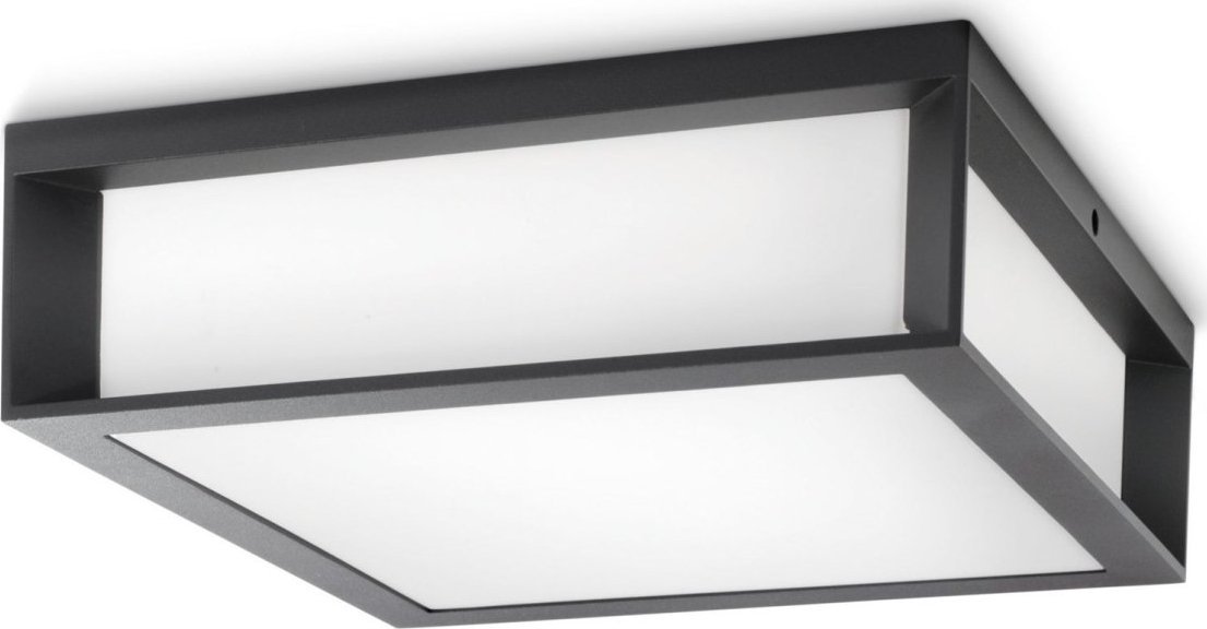 Kinkiet Philips OUTDOOR LIGHT SKIES 2X42W