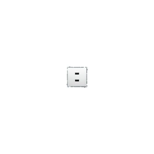 Kontakt-Simon Simon Basic  2 x USB