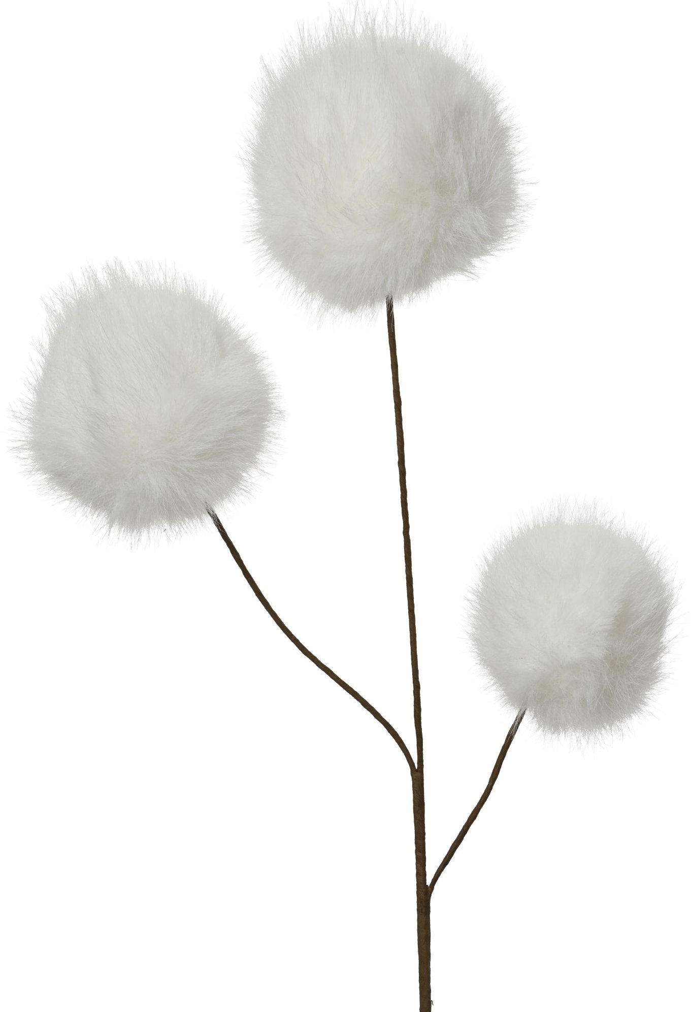 Kwiatydonice donice Branch decorative with fluff