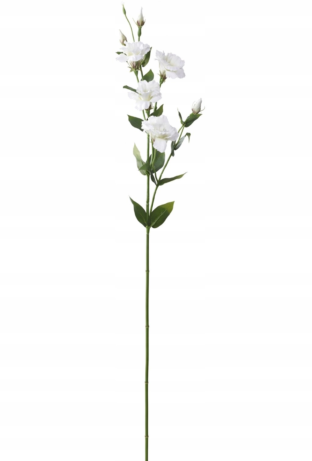 Kwiatydonice donice Flower artificial Eustoma white