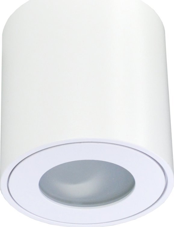 Sufitowa ECOLIGHT2 Eco Light* EC79971 spot