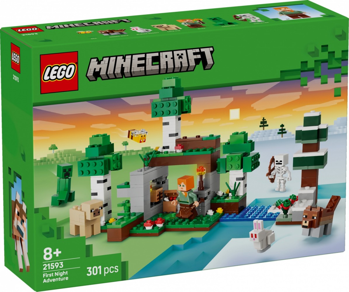 LEGO MINECRAFT 21593 First Night Adventure