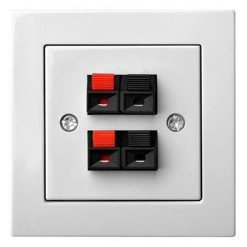 Liregus 2 SPEAKERS CONNECTORS IGL-002-01 EPSI