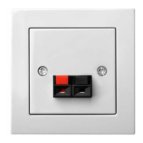 Liregus SPEAKER CONNECTION OUTLET ĮGL-001-01 |