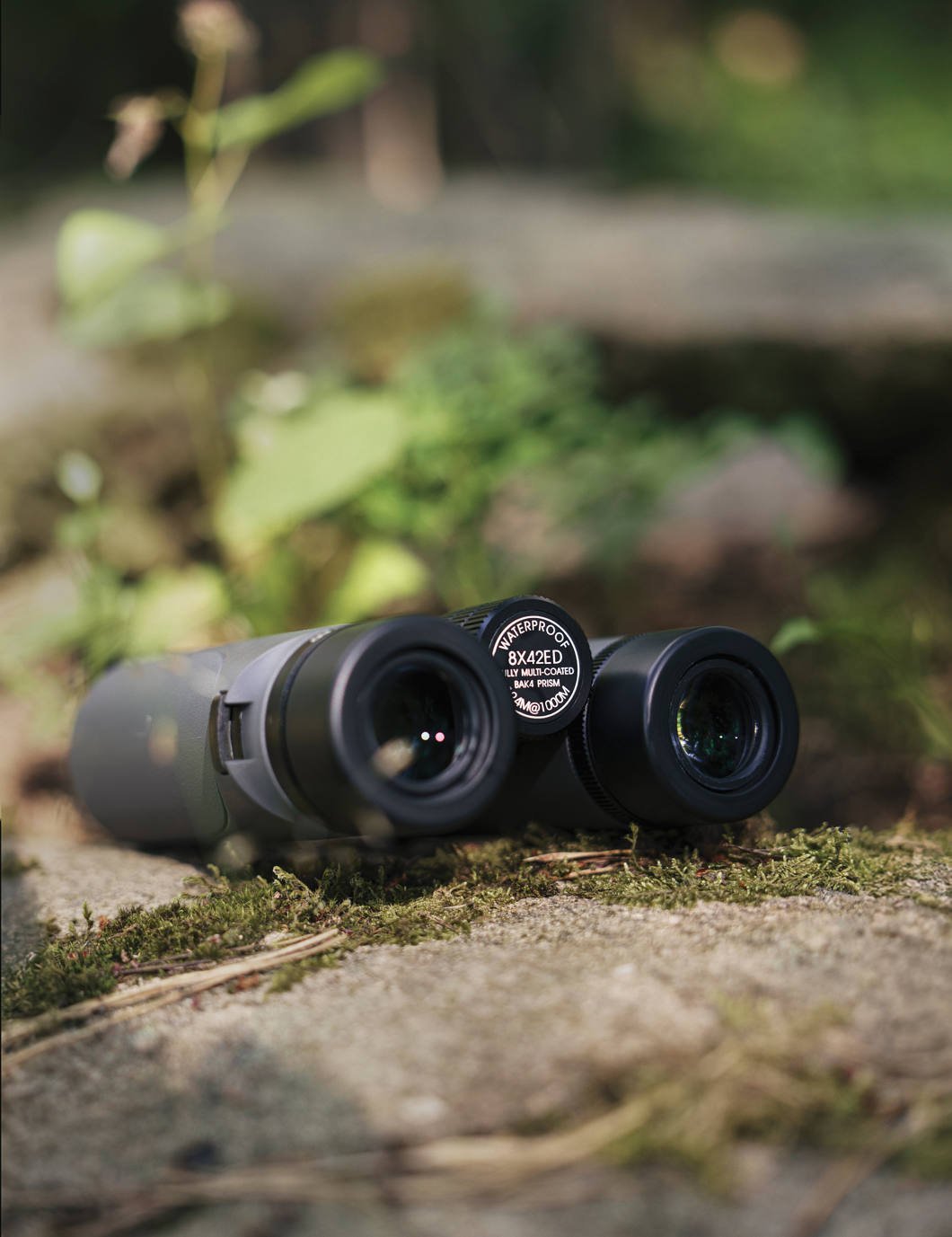 Focus Focus Observer 8x42 ED |
