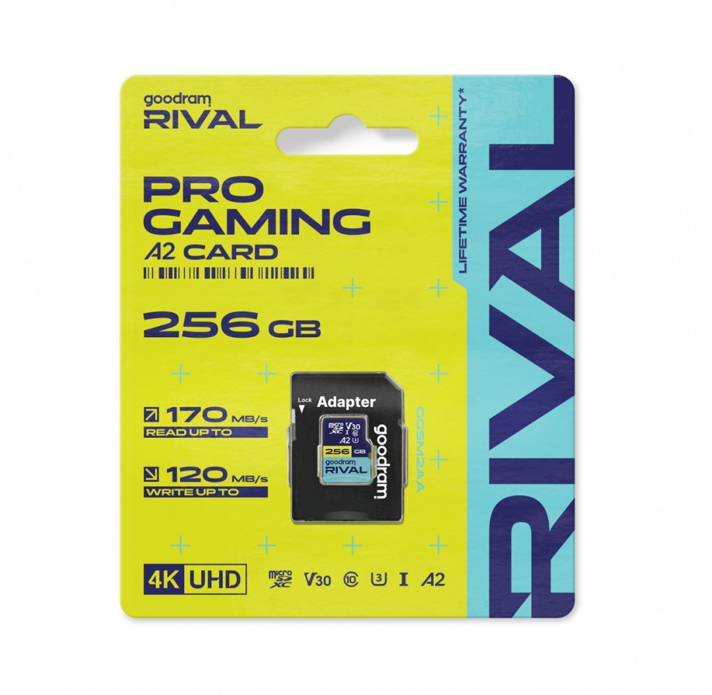 Karta GoodRam Rival MicroSDXC 256 GB