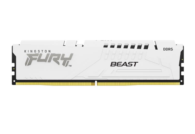 Kingston Memory DDR5 Fury Beast 16GB(1*16GB)/6400