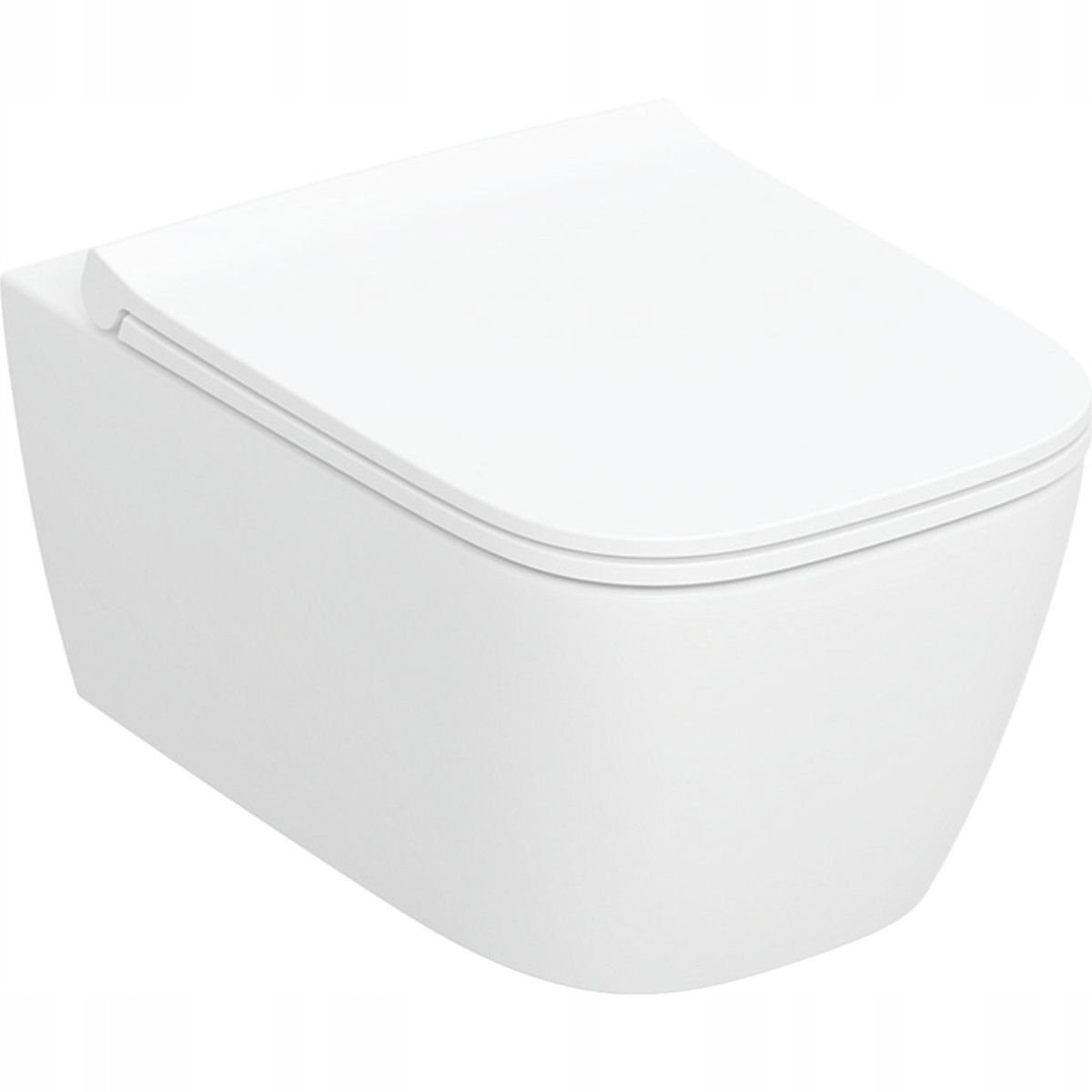 WC Geberit wiszącej miski WC, lejowa