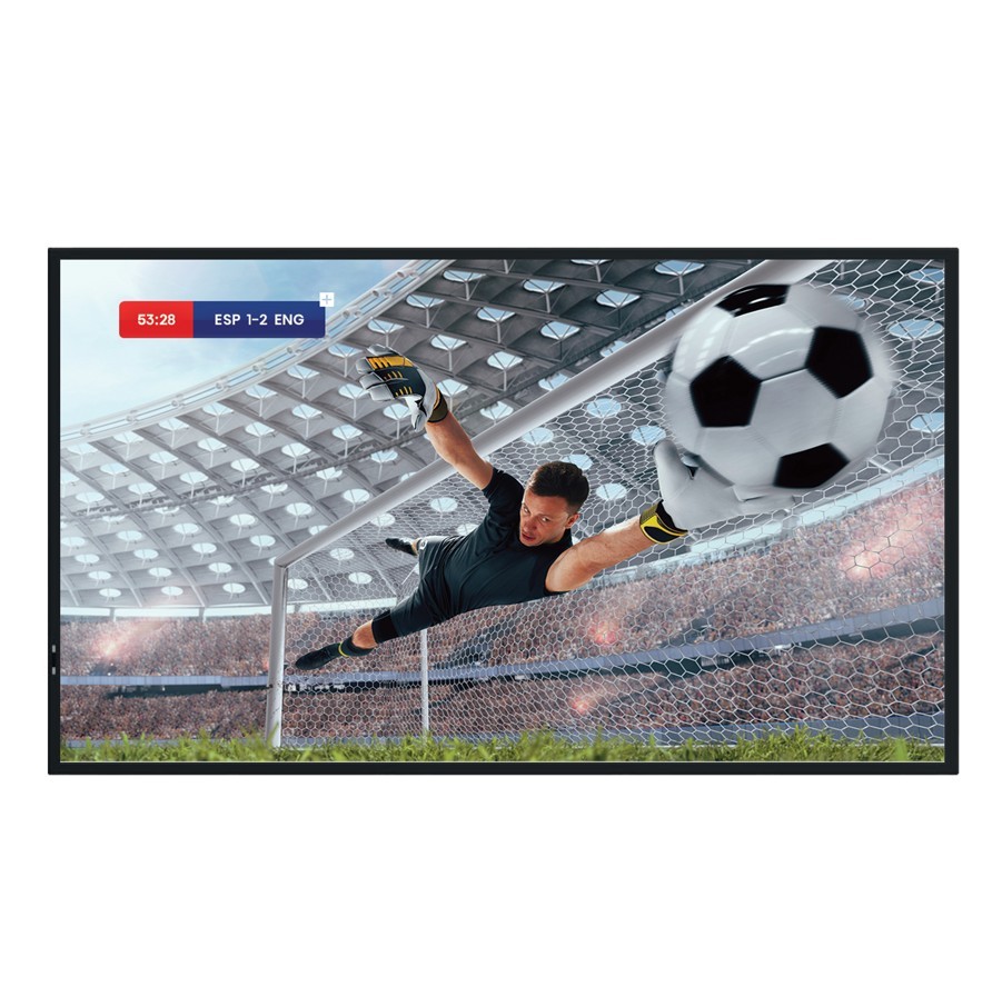 Hisense Monitor 86DM66D 86 inches 4K