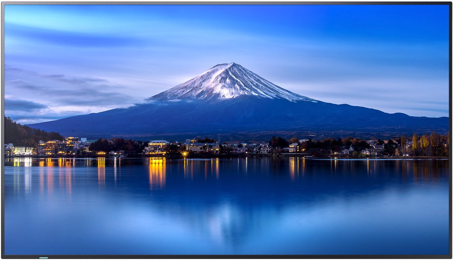 Monitor NEC MODEL PN-P656, 65" P-Series
