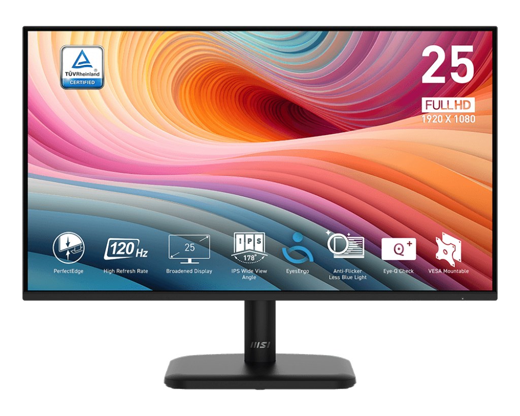 MSI PRO MP251L E2 computer monitor