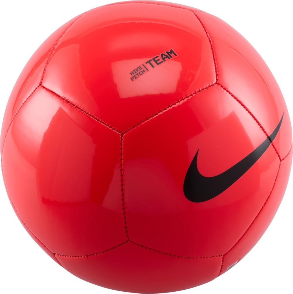 Nike Nike Pitch Team FZ7553 635