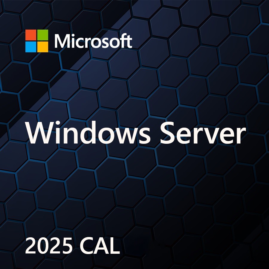 Microsoft OEM Win CAL 2025 User