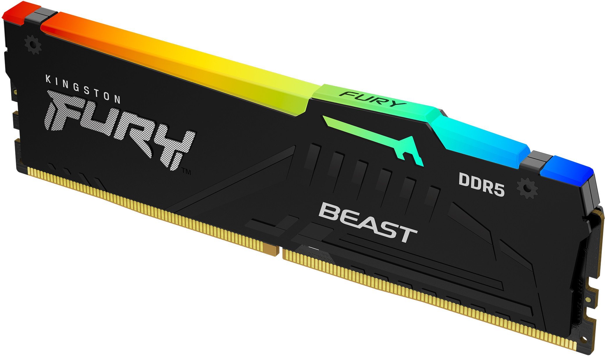 Pamięć PNY Beast RGB, DDR5, 32