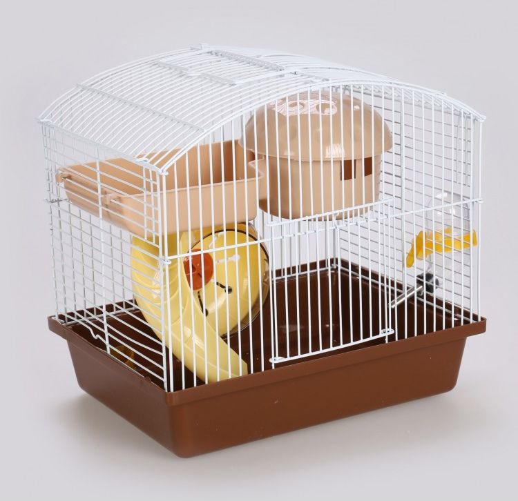 Panama Pet Klatkagryzoni do czasowego pobytu