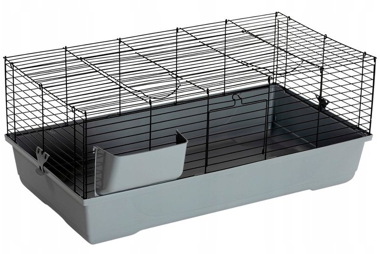 Panama Pet Klatkagryzoni i a, CAVIA