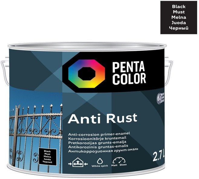 Pentacolor ANTICOR PAINT ANTI-RUST BLACK 2