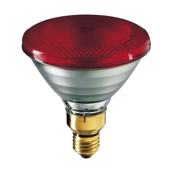 Philips Promiennik pod PAR38 IR 230V