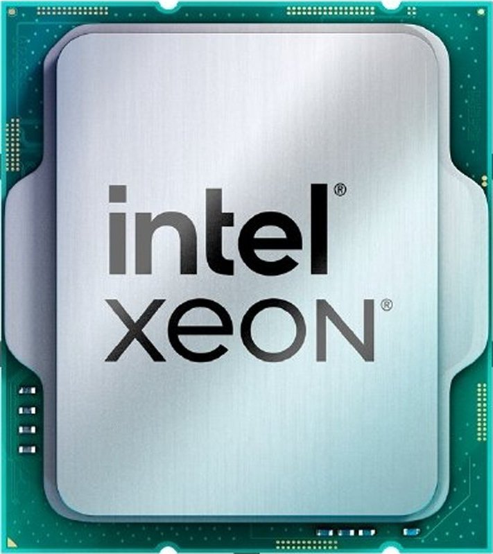 Procesor serwerowy Intel Intel CPU Xeon