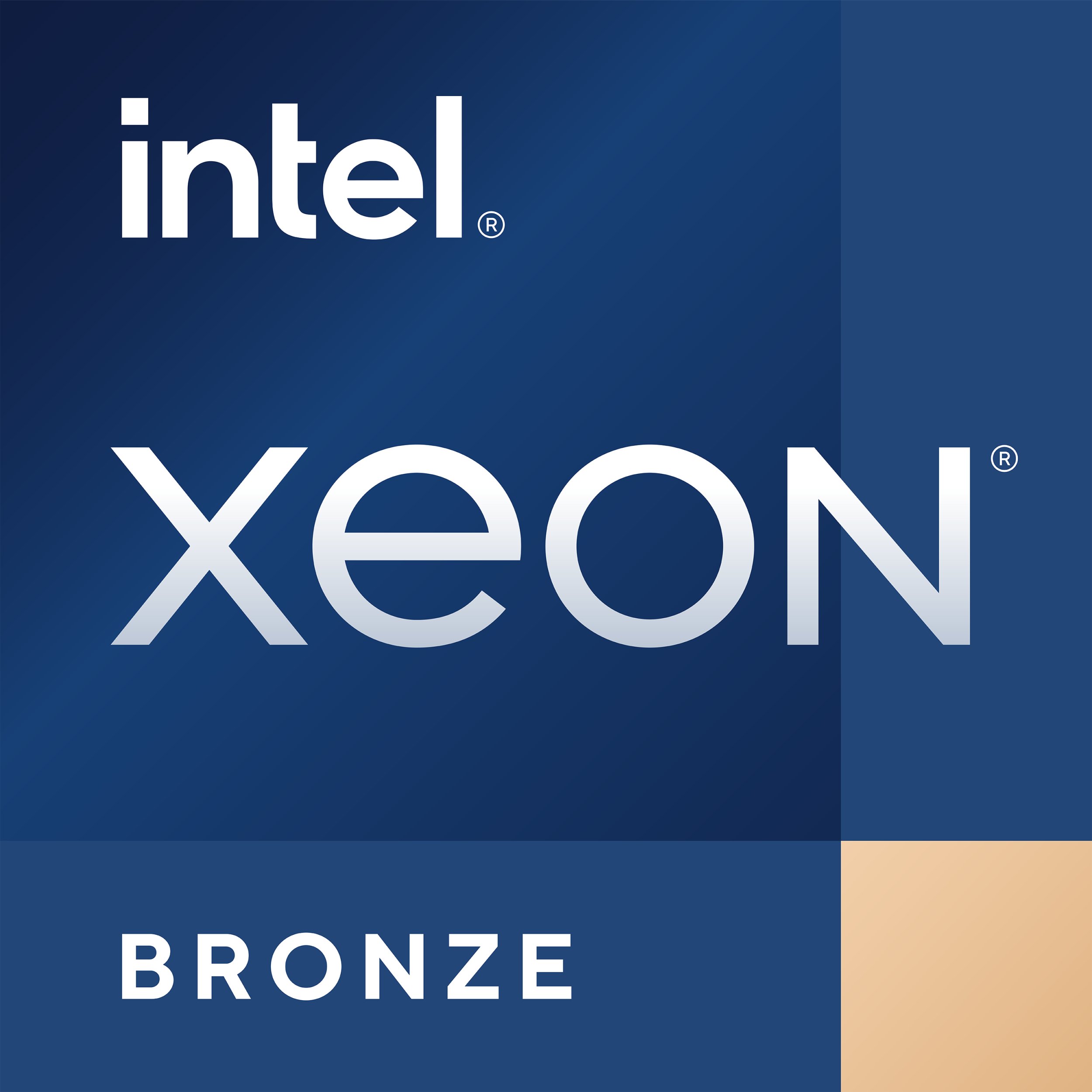 Procesor serwerowy Intel INTEL Xeon Bronce